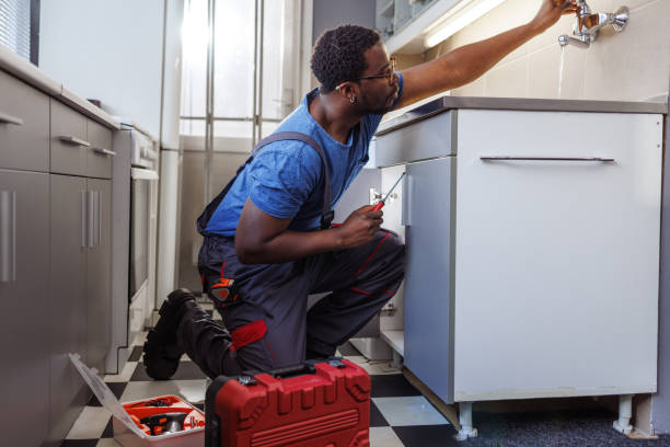 Best Plumbing Services Near Me  in Galena, IN